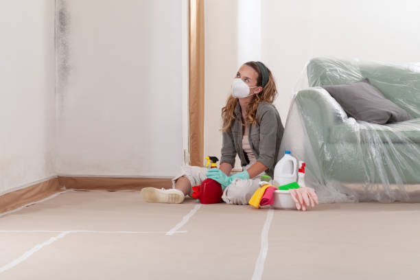Reliable Mold Remediation contractor in Hopewell, PA by WQB Mold Removal